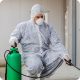 How Long Can Bed Bugs Live