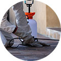Bed Bug Control Kent