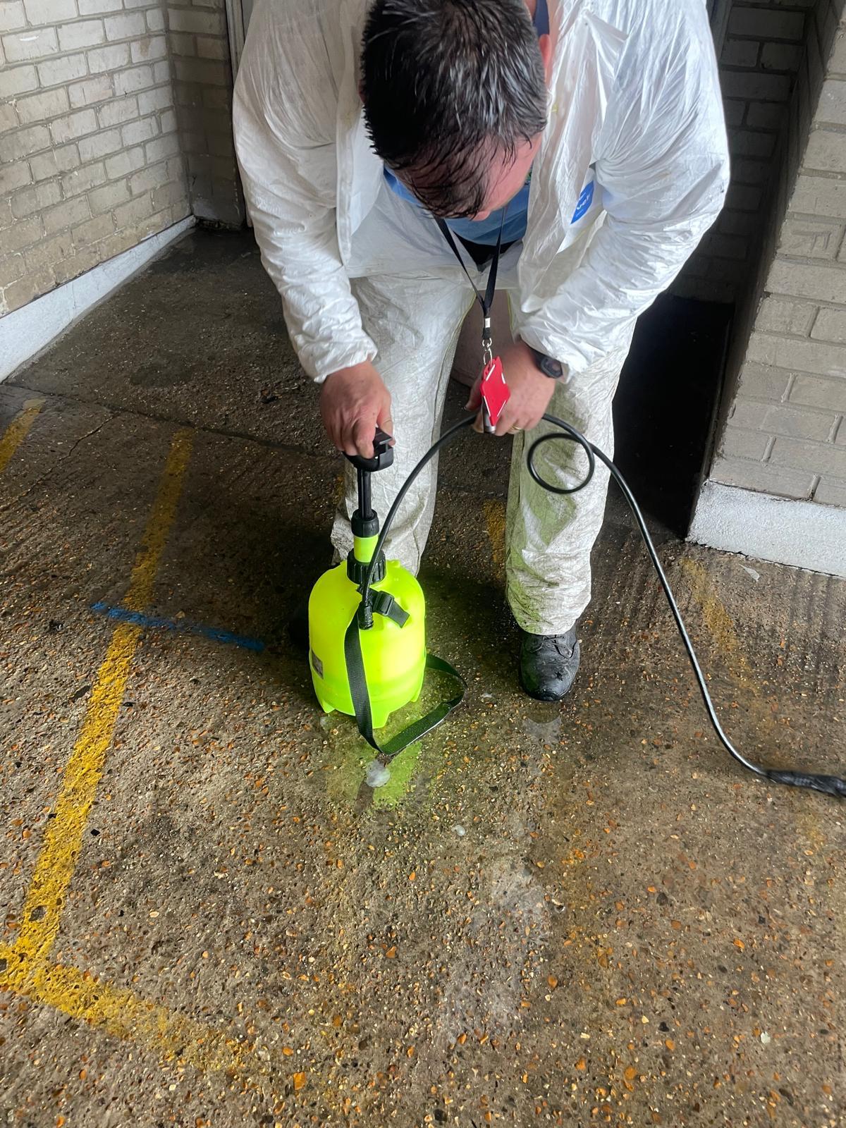 Silverfish pest control